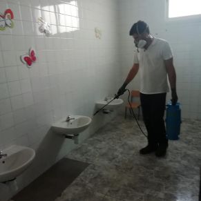 70537716_2297777087150606_6525742841044402176_n