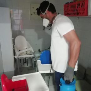 71337773_2297777337150581_6281837111502962688_n