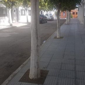 149073086_2705322363062741_1227737538619719799_n