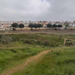 166123464_2735625416699102_7860654189663978110_n