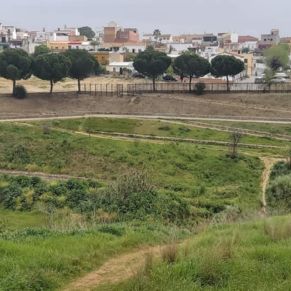 166123464_2735625456699098_1448076320471033939_n