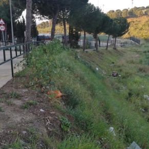 166208244_2735625660032411_4515718205555737394_n