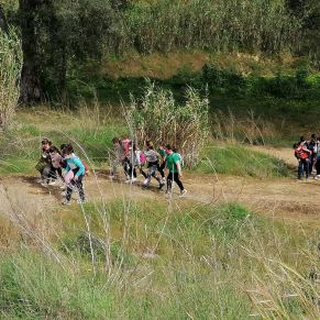 166369859_2736260729968904_6684756983950347130_n