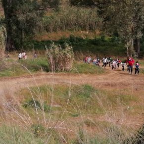 166516369_2736260439968933_3154225551060754434_n