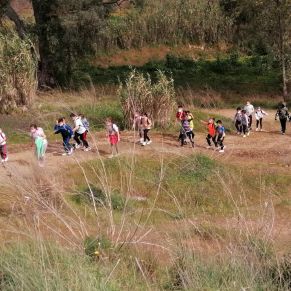 166544867_2736260349968942_371024300599095711_n