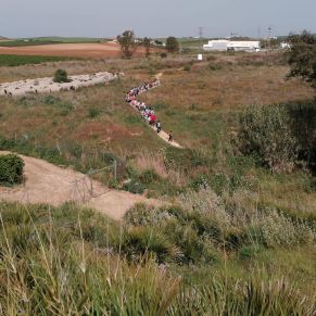 167134662_2736260563302254_4437063582731924028_n