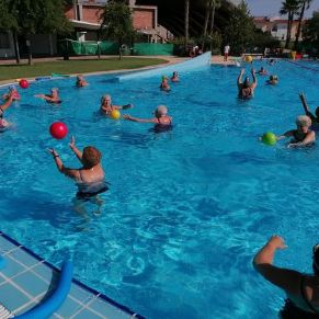 215999124_2809565382638438_4594380427578761408_n