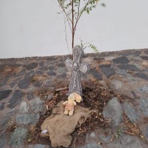 221539449_2828357534092556_4856791061263468475_n