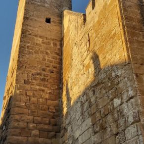 227876100_2824650391129937_6854996667219859345_n