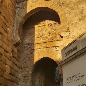 228640738_2824650811129895_3540545149565227955_n