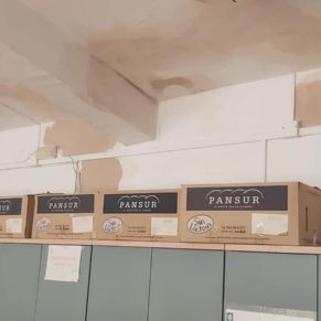 244714858_2876384955956480_6769697995246891671_n