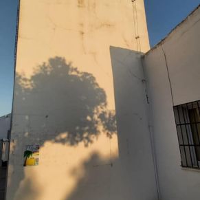 246713727_2876384882623154_1163546496686930377_n