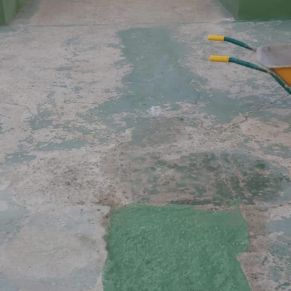 248384275_2880412218887087_2438664032833981783_n