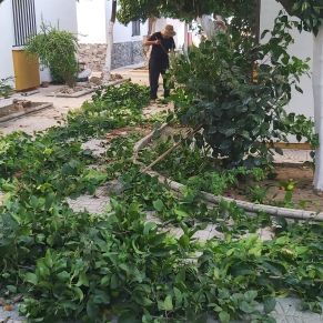 256374433_2896812143913761_758610366417632638_n