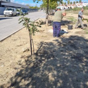 257381878_2896812177247091_727781418308251671_n