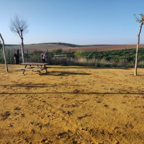 259147000_2903044363290539_6130893278000894526_n