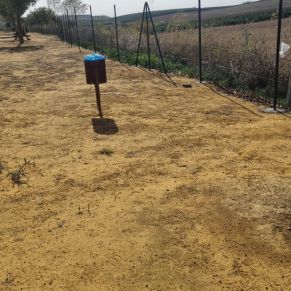 259768147_2903044433290532_2009689770197418759_n