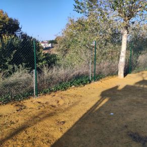 260006138_2903044419957200_9212207212199783266_n