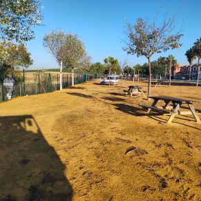 260177375_2903044116623897_5089361061273068049_n