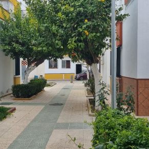 272140657_2942454069349568_4959502787162768859_n