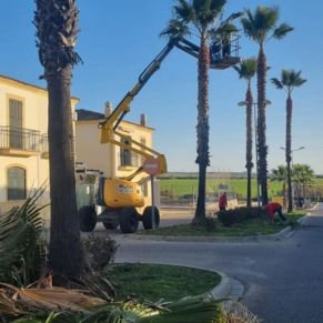 272425558_2945070032421305_2857760308686071036_n