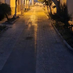 272446927_2942453899349585_248363315318916639_n