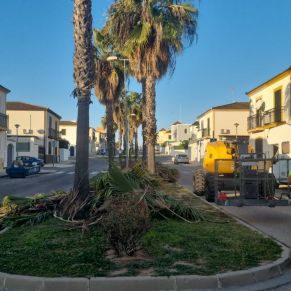 272510720_2945070219087953_3452955123185392045_n