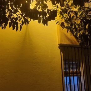 272527399_2942453972682911_2504166807195810016_n