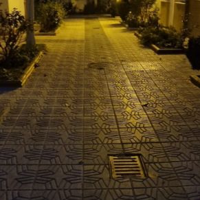 272668258_2942453876016254_5173426469693844018_n