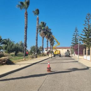 272993452_2945070409087934_5627754303547173479_n