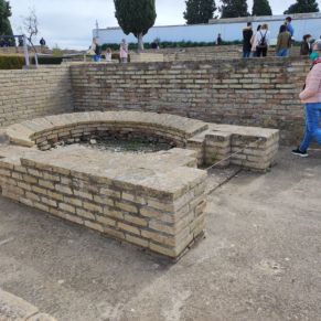 275008006_2970096663251975_2234295292490357230_n