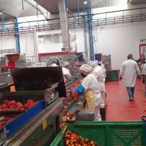 278301384_3000968126831495_5456352124877455365_n