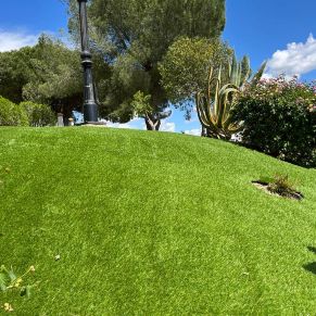 283161422_3027519044176403_5758046036513710204_n