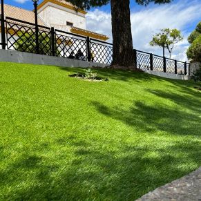 284056687_3027519064176401_2256532259097285948_n