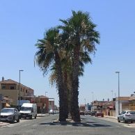 292371964_3058476494413991_408556597248781536_n