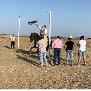 309269265_420476640230391_8728365836051401908_n