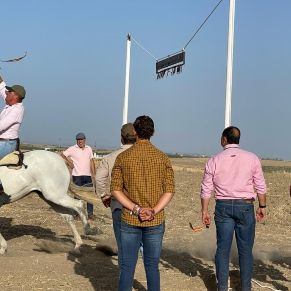 311575551_420477510230304_3763488834795090631_n