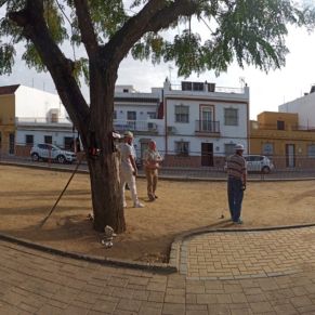 313433709_434714538806601_3932253165878120397_n