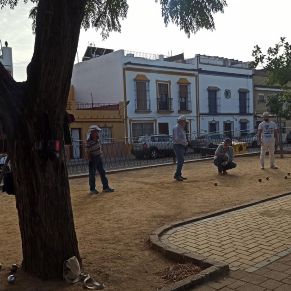 313936313_434714262139962_1484227369860682484_n