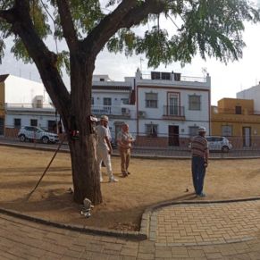 314027259_434714252139963_3389978214395446943_n