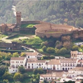 338439567_140794992057167_410713678473096903_n