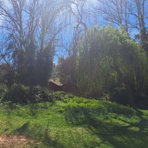 338854920_6289920561059424_5378211614953911310_n