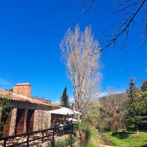 339040030_763587208449400_8241387551476682492_n