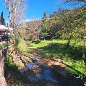 339076209_3418066745104019_5149440177205621635_n