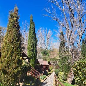 339142025_773564727323051_2178771782706637314_n