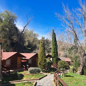 339149024_6474129139277548_5623719454837797285_n