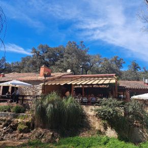 339185252_1203202833720464_4177449221525797022_n