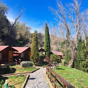 339412592_972369450791677_8122275388340974754_n