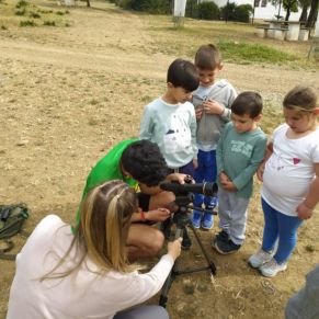 339486893_231585032755325_4029618704684863223_n