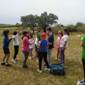 339580861_616230269955369_4321525182125950298_n